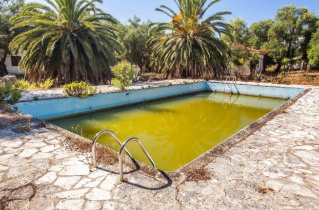 Protect Your Swimming Pool During The Pollen Season