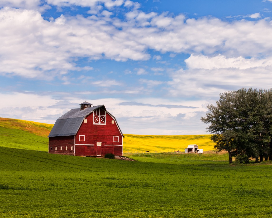 What Should You Understand Before Investing in a Utah Storage Farm Shade