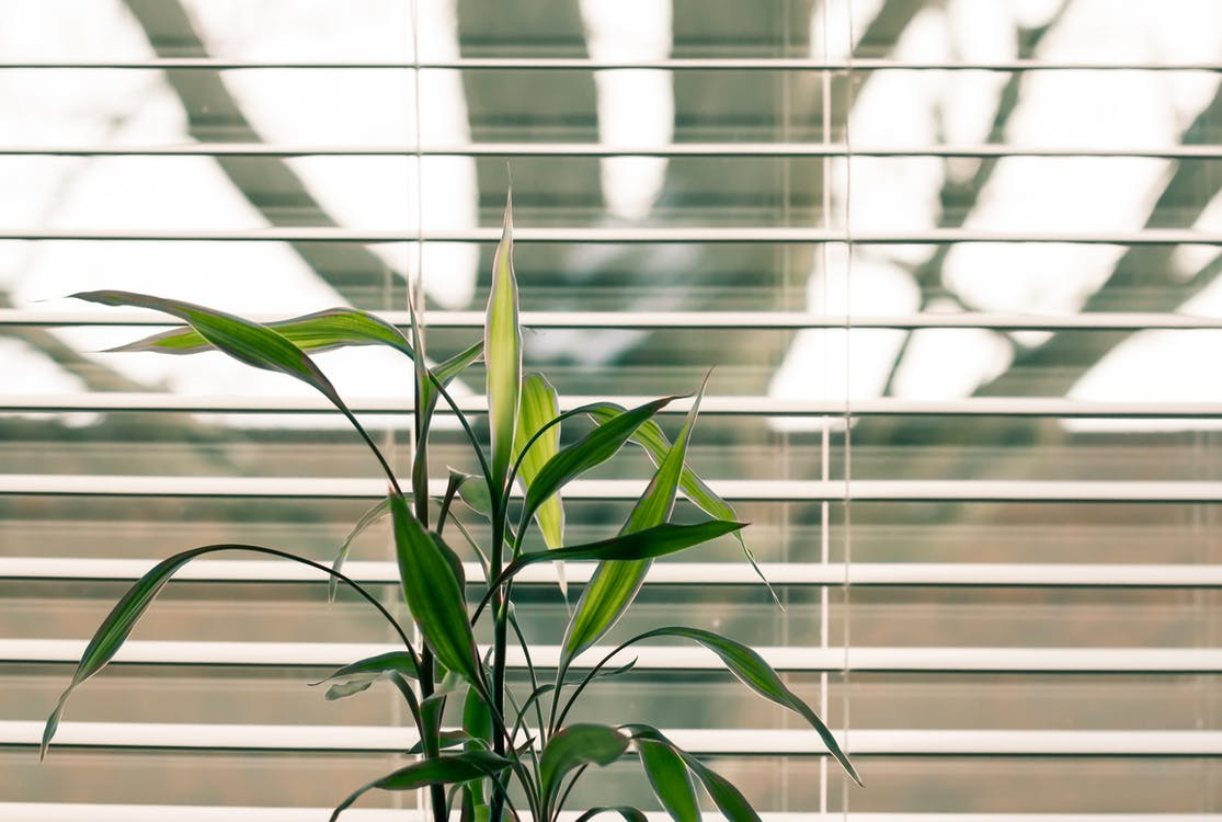 5 Things You Should Need To Know About Window Blinds