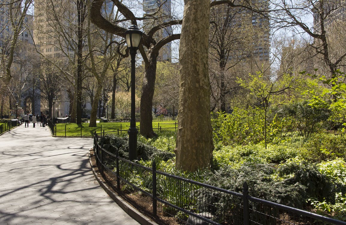 What Are The Best New York Parks for a Picnic