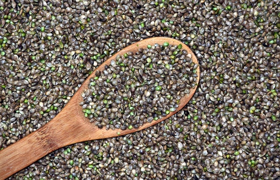 How to Choose the Most Suitable Cannabis Seeds to Grow