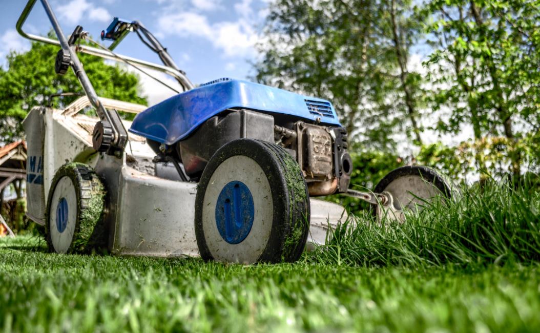 Hiring the Right Lawn Care Company