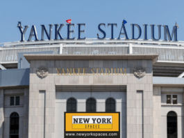 Learn About New Yorks Sports Attractions - the Yankees and Mets