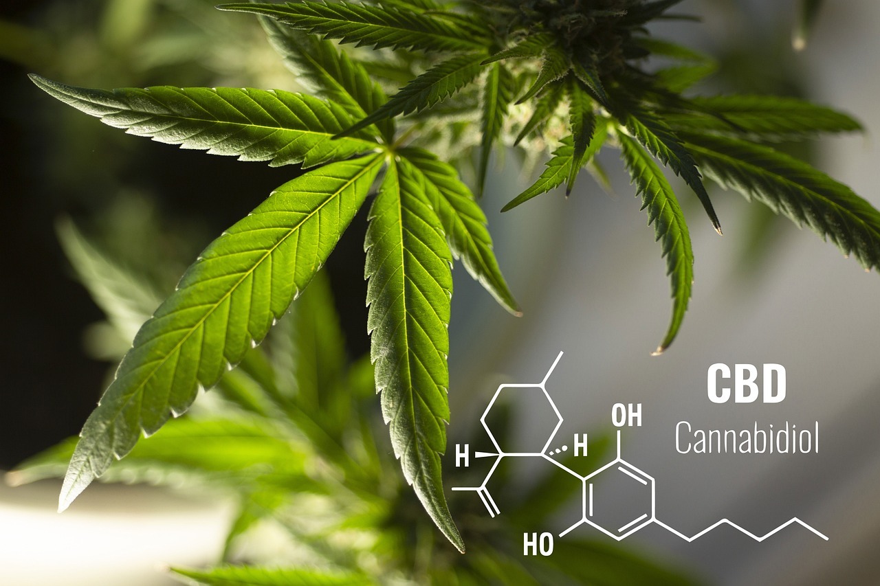 The Best Forms of CBD for Your Needs