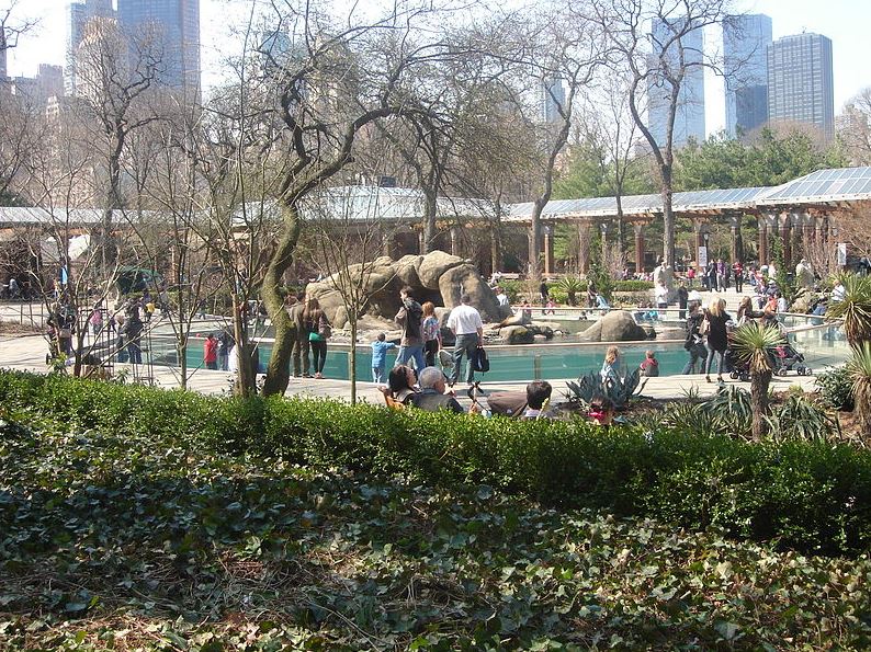 Visitors in the central area of the Central Park Zoo