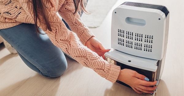 When should you rely on a dehumidifier