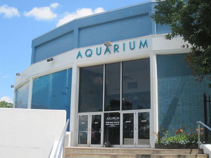 entrance in the Aquarium of Niagara