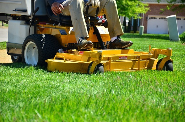 7 Summer Lawn Care Tips to Keep Your Grass Healthy