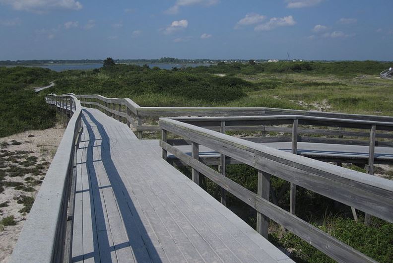 The Wilderness Path of Fire Island. 