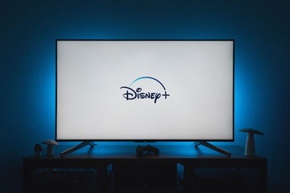 Difference between Disney Plus and Netflix