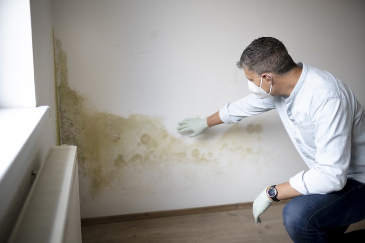 What do professionals use to get rid of mold