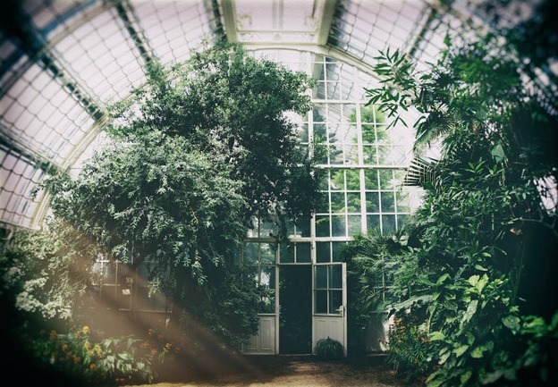 Design Your Personal Paradise With a Greenhouse