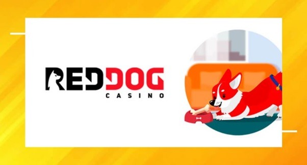 The Exclusivity of Live Casino Games at Red Dog Casino