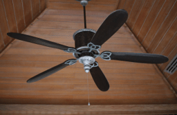 Why Should Every House Have Ceiling Fans?