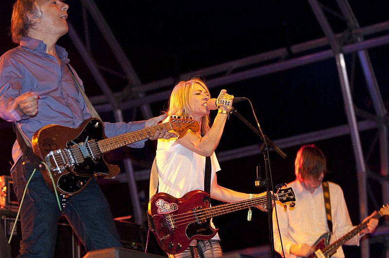 Sonic Youth in 2009