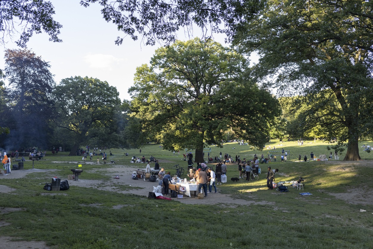 Juneteenth picnic at Prospect park in Brooklyn, NY, USA