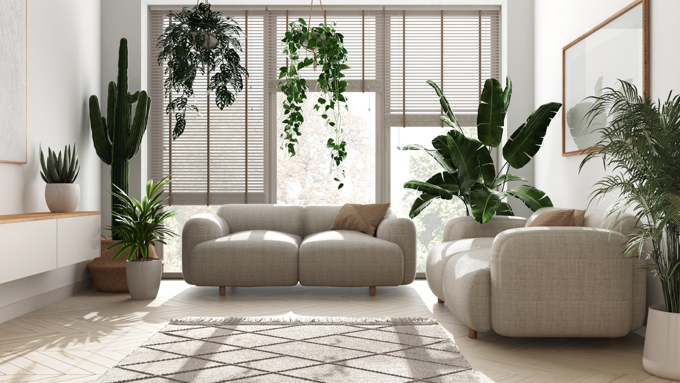 Minimalist contemporary living room interior design in white tones. Parquet, sofa and many house plants
