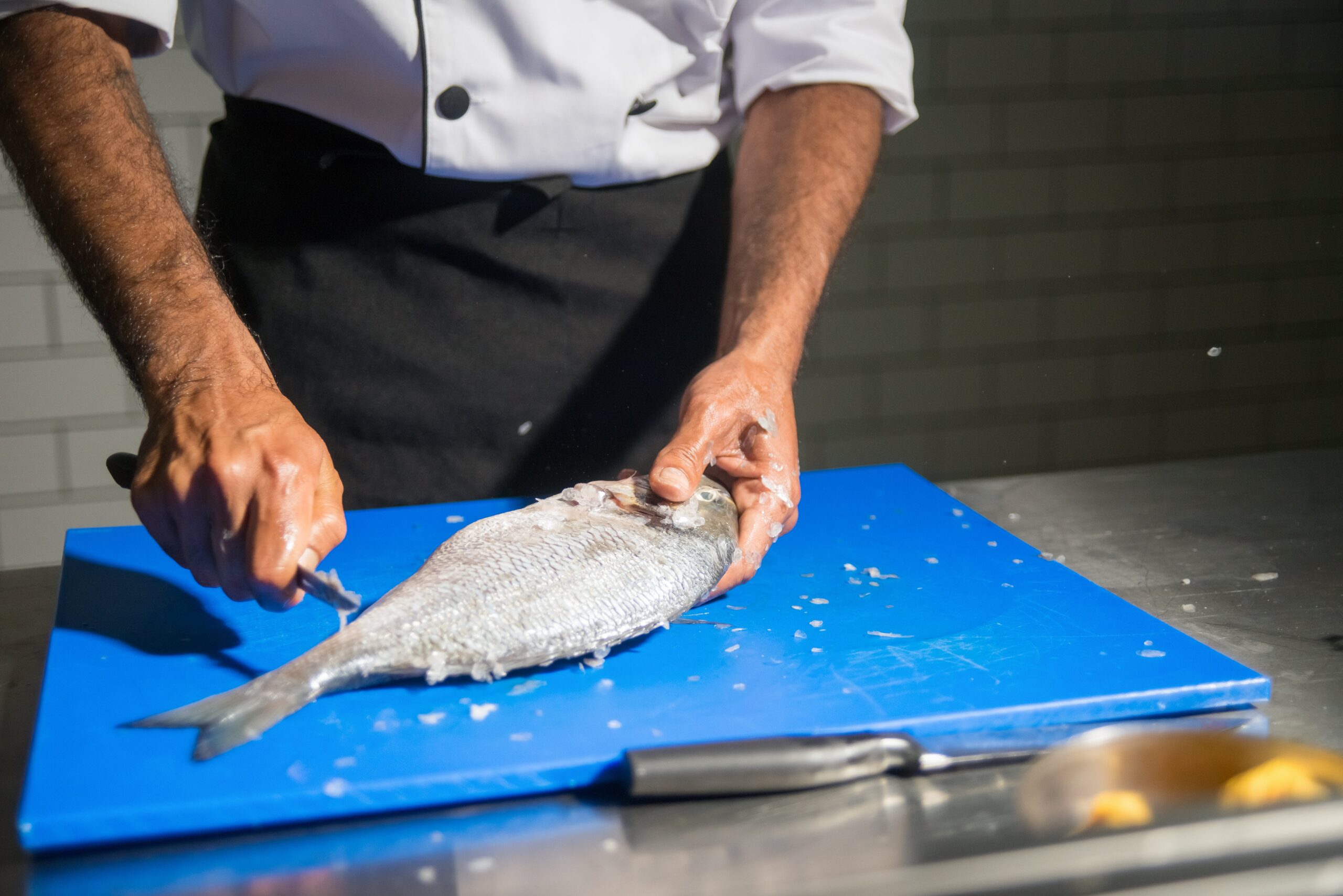 Supplier Spotlight Choosing the Right Seafood Supplier for Your Culinary Needs