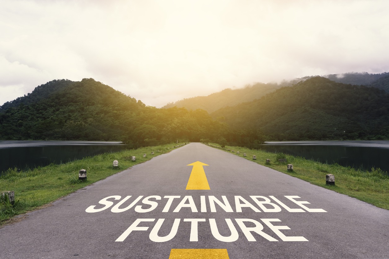 Sustainable future or straightforward concept