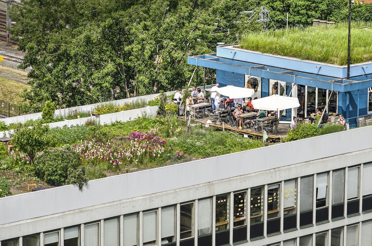 a flower garden and a cafe on top of a 1960's office building