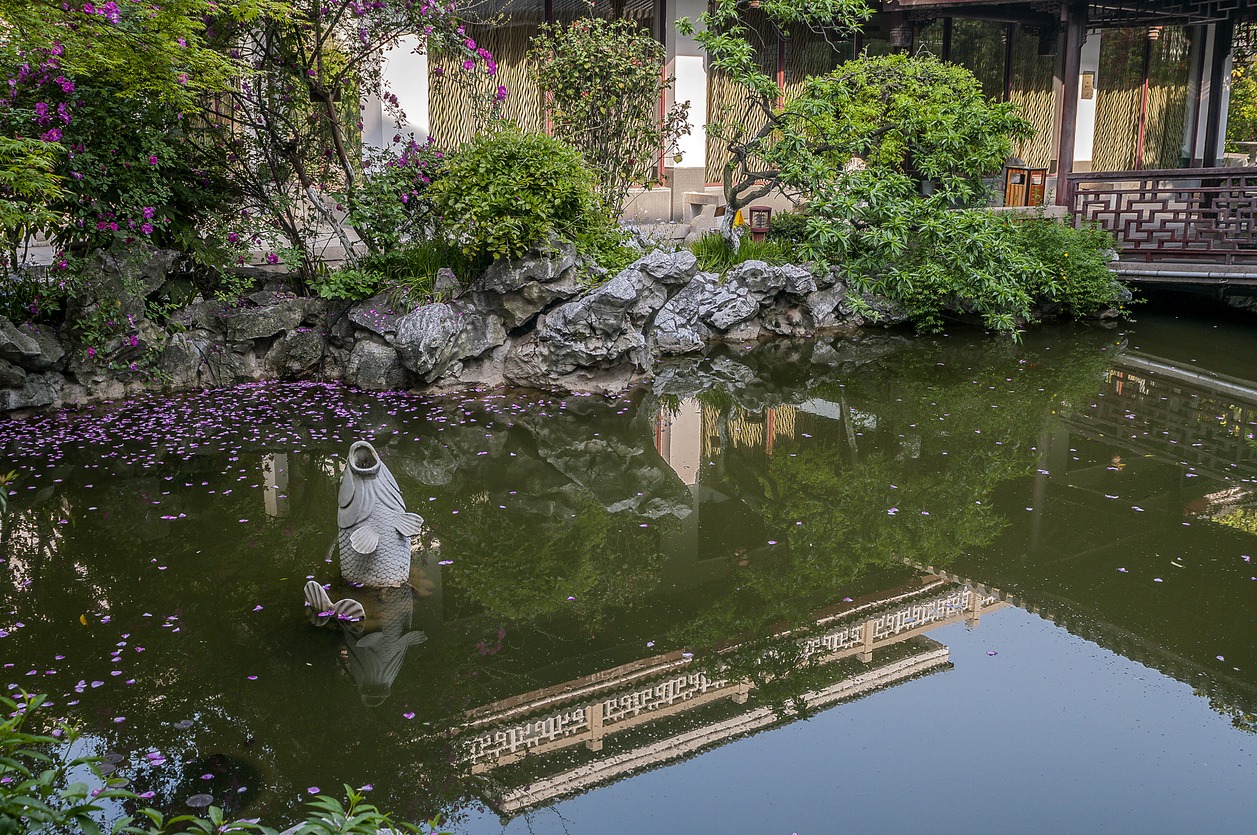 a pond with a koi statue