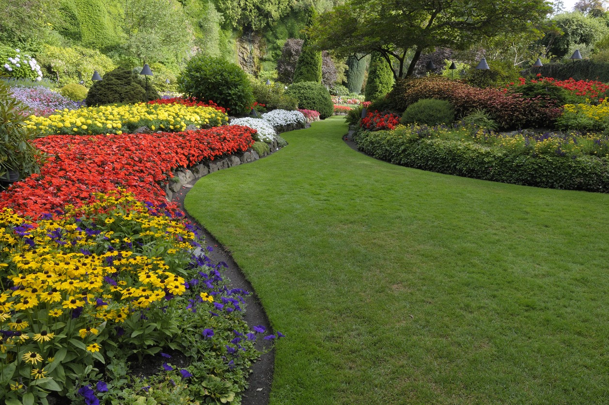 beautifully landscaped garden with flowers of diverse colors aligned