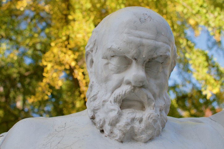 close-up photo of Socrates