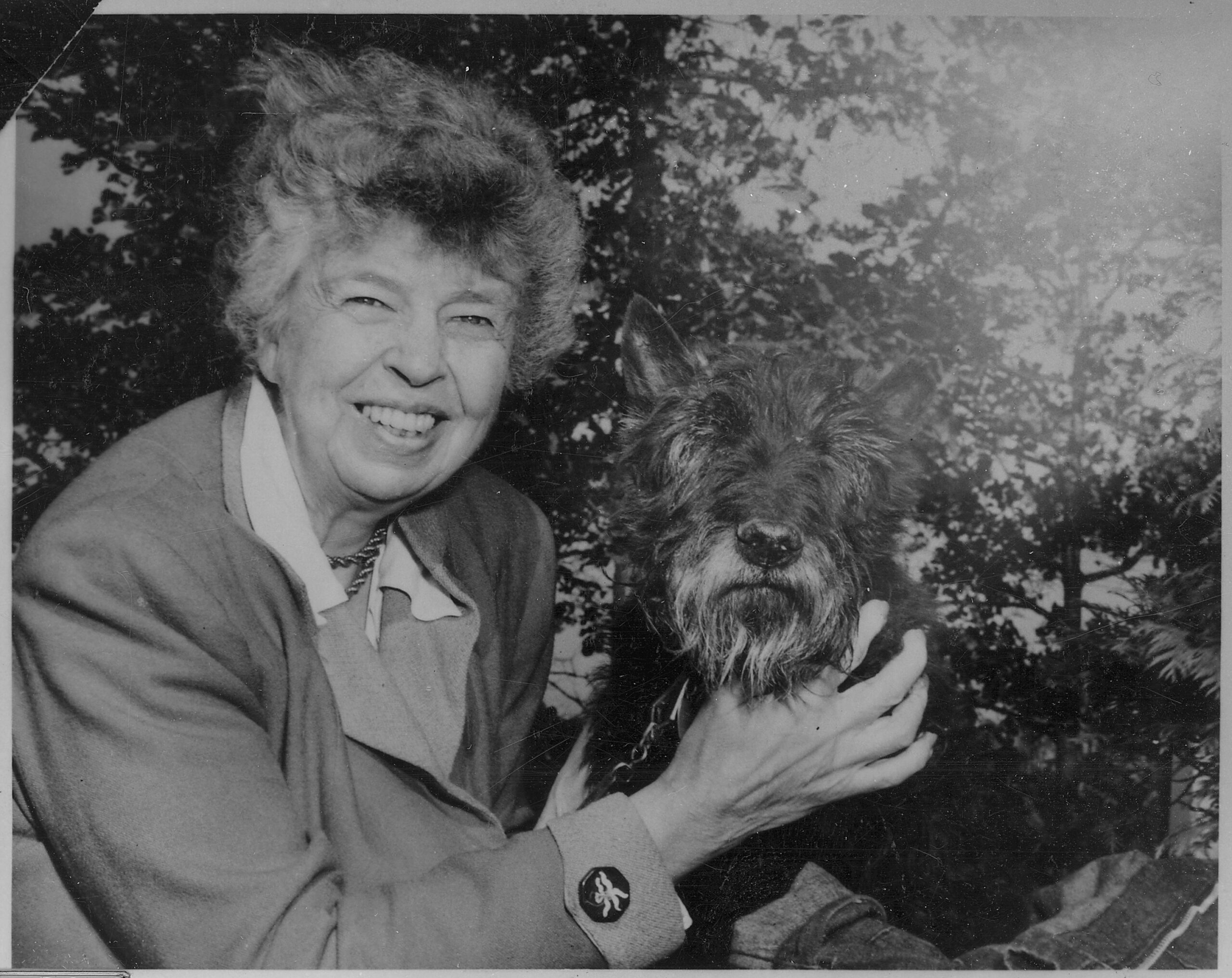 woman wearing brown suit holding a dog