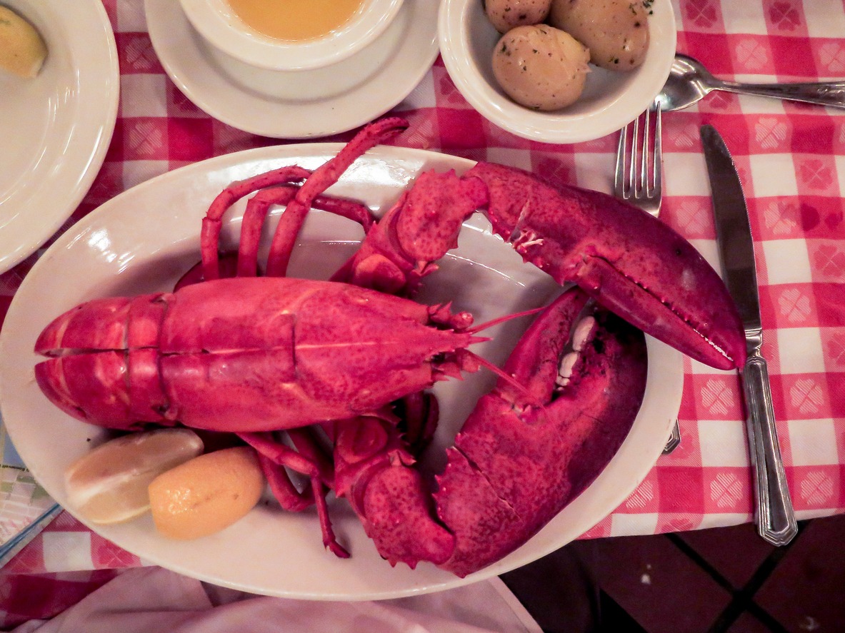 Lobster at The Oyster bar in grand central station New York City