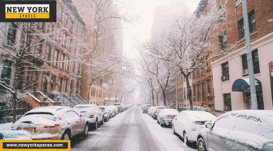 Winter in the City - A New Yorker's Guide to Thriving in the Chill