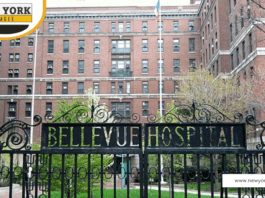 Guide to the Hospitals in New York City