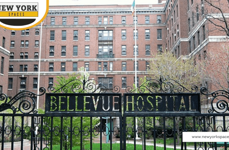 Guide to the Hospitals in New York City
